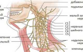 Болит голова при защемлении нерва в