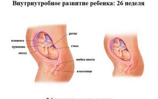 26 недель беременности болит низ живота и спина