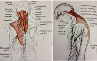 Упражнения для шеи чтобы не болела голова