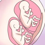 Маточная и внематочная беременность