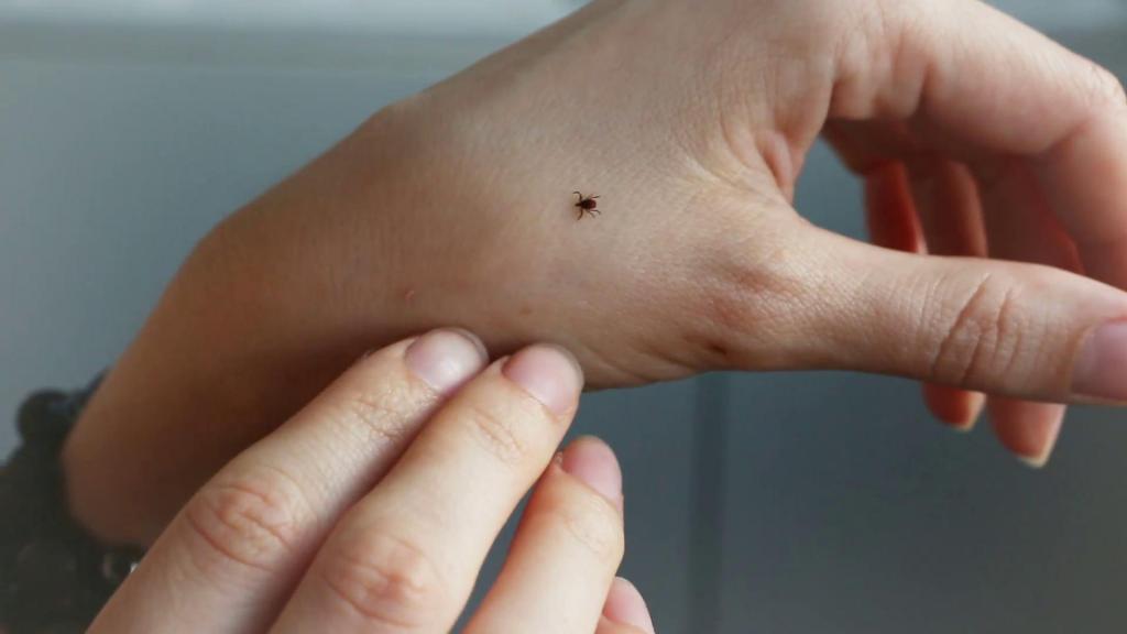 ремантадин противопоказания и побочные действия