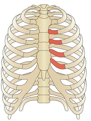 Болит спина при вдохе в районе ребер