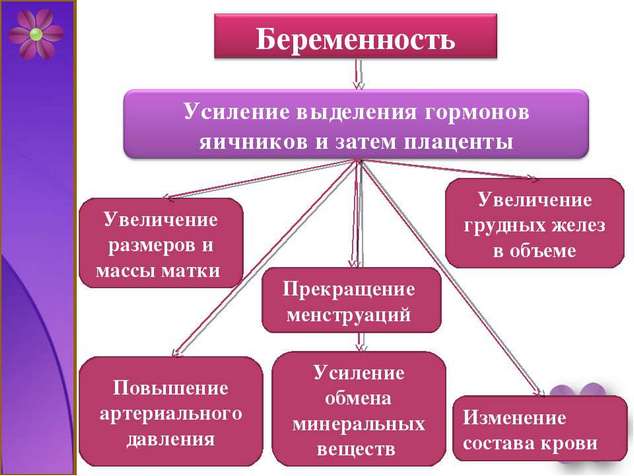 Болит спина в середине позвоночника при беременности