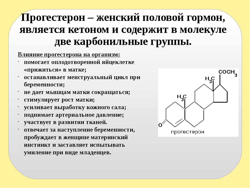 26 недель беременности болит низ живота и спина