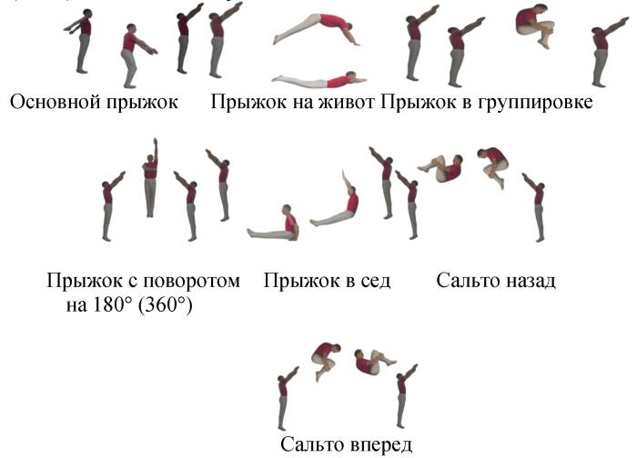 Виды прыжков на батуте Виды прыжков на батуте